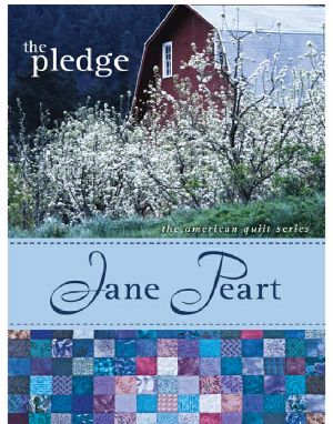 [American Quilt 02] • The Pledge, Value